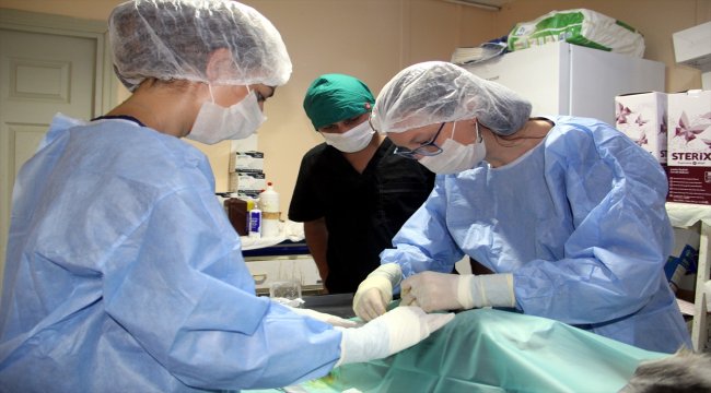 Sokak hayvanlarının gönüllü veterinerleri