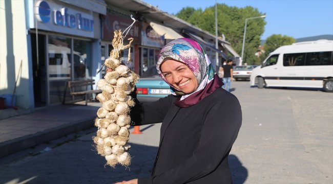Taşköprü sarımsağı fiyatları üreticiyi memnun etti