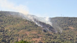 Zonguldak'ta orman yangını