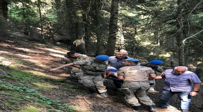 Ordu'da hafif ticari araç su kanalına düştü: 1 ölü, 3 yaralı