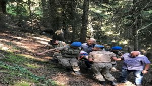 Ordu'da hafif ticari araç su kanalına düştü: 1 ölü, 3 yaralı