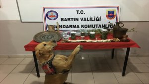 Bartın'da uyuşturucu operasyonu