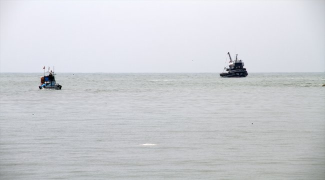 Batı Karadeniz'de balık bolluğu