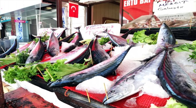 Batı Karadenizli balıkçılar palamutla sevindi