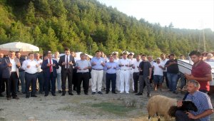 Bozkurt'ta balık av sezonu törenle açıldı