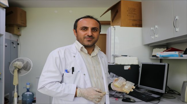 Çocuklar için propolisli "jeli şeker" ürettiler