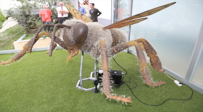 Dev arı modeli görenleri şaşırtıyor