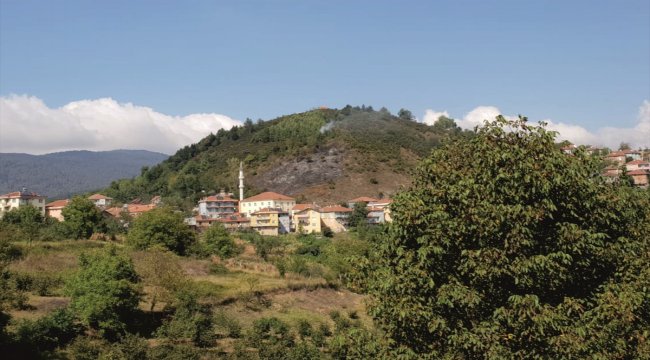 Düzce'de makilik alanda yangın çıktı