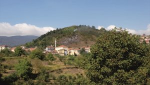 Düzce'de makilik alanda yangın çıktı