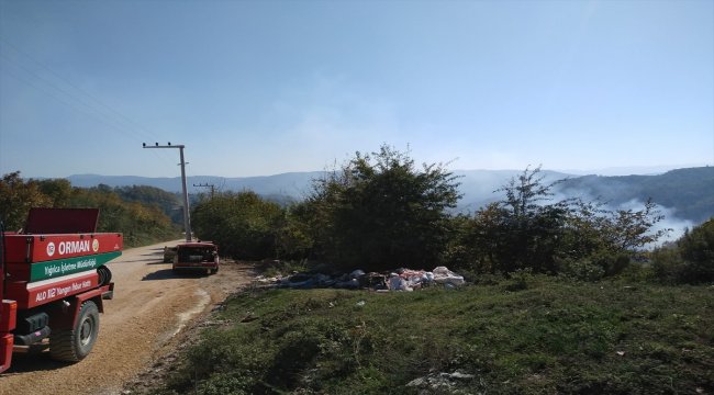 Düzce’de orman yangını