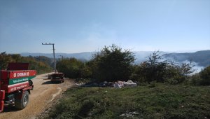 Düzce’de orman yangını