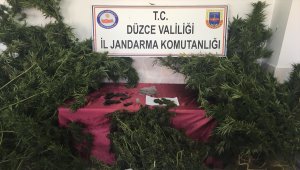 Düzce'de uyuşturucu operasyonu