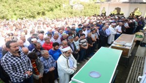 Giresun'da minibüsün uçuruma yuvarlanması
