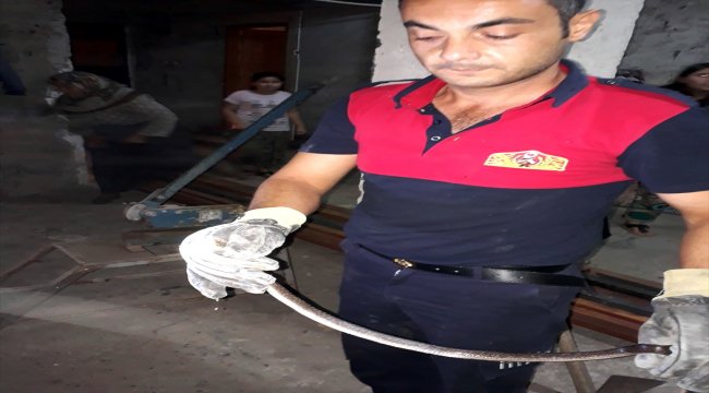 İtfaiyeden "yılan yakalama" operasyonu