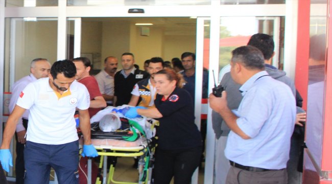 Kamyonetin çarptığı bisiklet sürücüsü ağır yaralandı