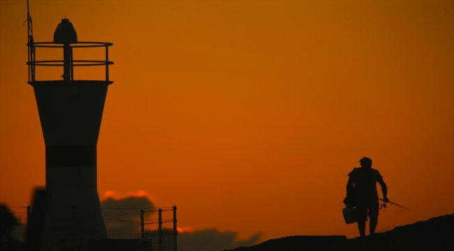 Karadenizli balıkçıların ağları istavritle doldu
