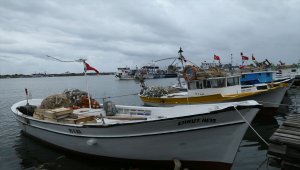 "Kestane karası fırtınası" balık fiyatlarını etkiledi
