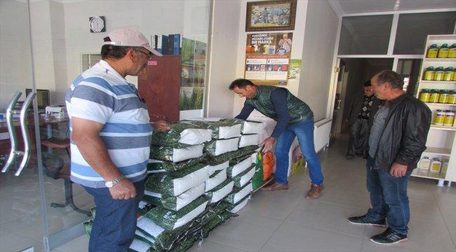 Ladik'te süt ve besi verimi artırma çalışmaları