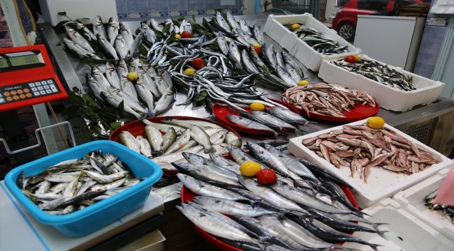 Ordu'da palamudun tanesi 20 liraya yükseldi