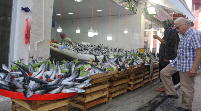 Palamut balıkçıları sevindirdi