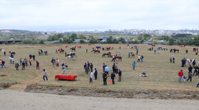 Samsun'da Rahvan At Yarışları