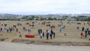 Samsun'da Rahvan At Yarışları