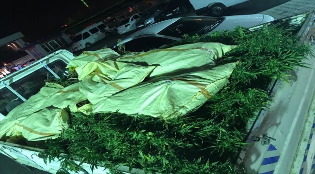 Samsun'da uyuşturucu operasyonu