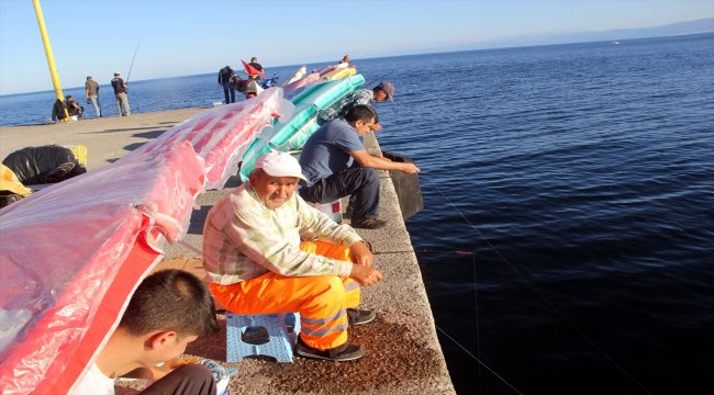 Sinop'ta amatör balıkçıların balık tutma merakı