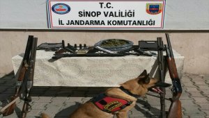 Sinop'ta uyuşturucu operasyonu