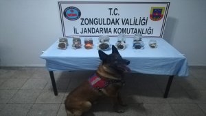 Toprağa gömülen uyuşturucu "Ceviz"in hassas burnundan kaçmadı
