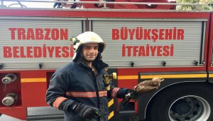 Trabzon'da itfaiye ekipleri, mahsur kalan hayvanları kurtardı