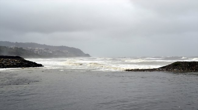 Zonguldak'ta "kestane karası fırtınası"