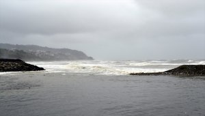 Zonguldak'ta "kestane karası fırtınası"