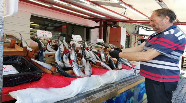 Zonguldak'ta palamut 15 lira oldu