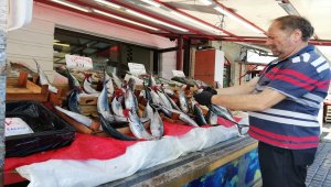 Zonguldak'ta palamut 15 lira oldu
