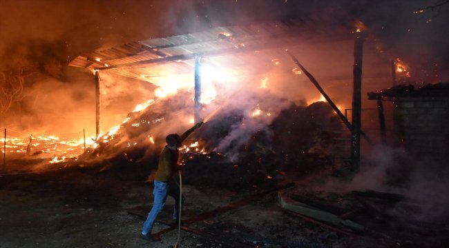 Amasya’da ev ve samanlık yangını