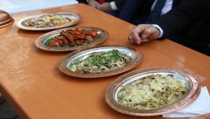 Artvin'de üretilen kayın mantarı görücüye çıktı