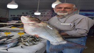 Balıkçılarda 11 kilogramlık levrek sevinci