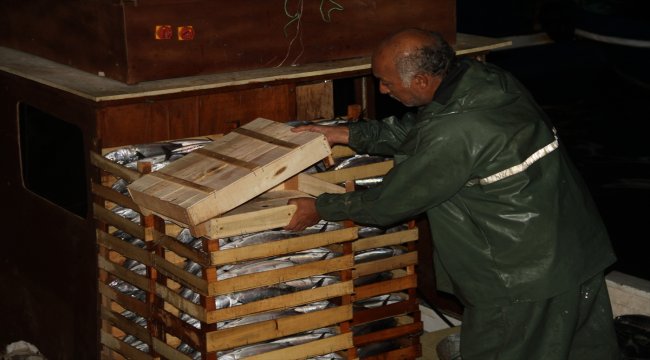 Batı Karadeniz'deki balıkçıların gece mesaisi