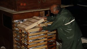 Batı Karadeniz'deki balıkçıların gece mesaisi