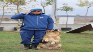 Bolu Belediyesi Hayvan Hastanesi açıldı