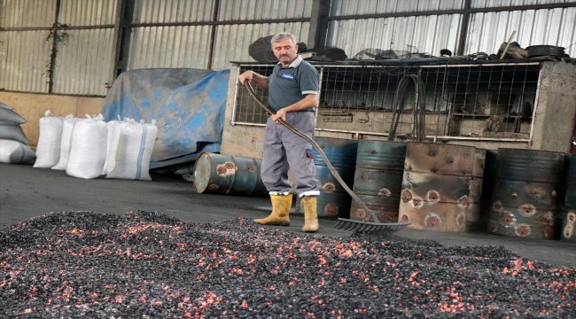 Fındık kabuğundan mangal kömürü üretiyorlar