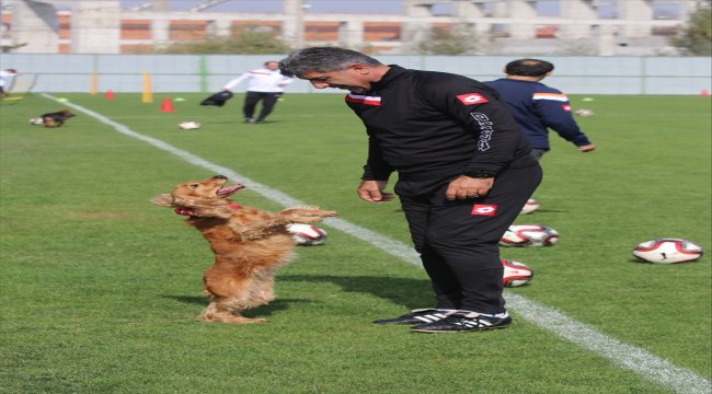 "Gençlerbirliği maçını mutlaka kazanmamız gerekiyor"
