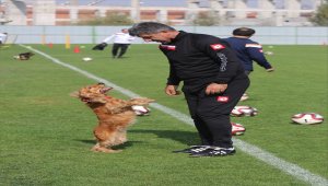 "Gençlerbirliği maçını mutlaka kazanmamız gerekiyor"