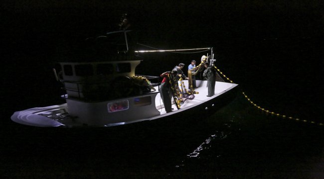 Karadeniz'de palamut bereketi