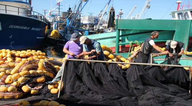 Karadeniz'de palamut bolluğu balıkçıların yüzünü güldürdü