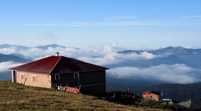 Karadeniz yaylalarında güz vakti