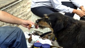 Kazancını sahiplendiği köpeğiyle paylaşıyor