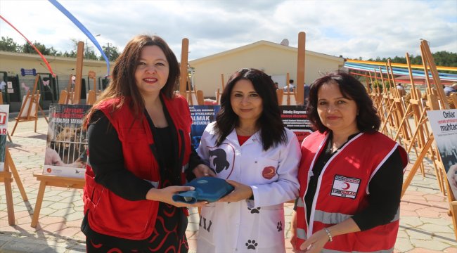 Kızılaydan yavru köpekler için sıcak su torbası