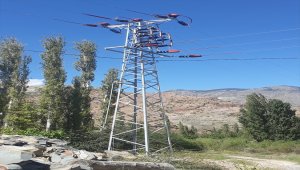 "Kuşlar Ölmesin" diye enerji nakil hatlarında önlem